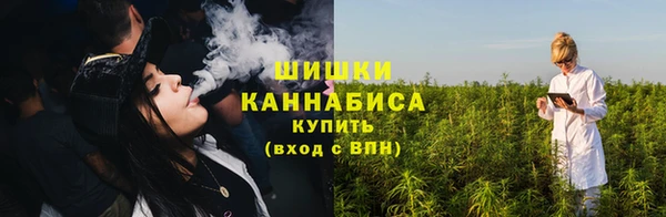 шишки Абинск