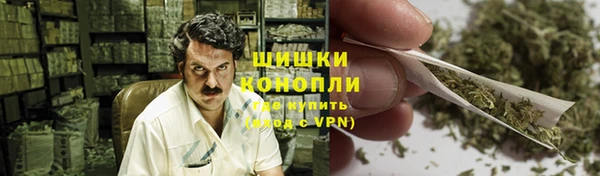 сатива Алзамай