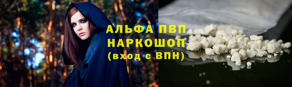 сатива Алзамай