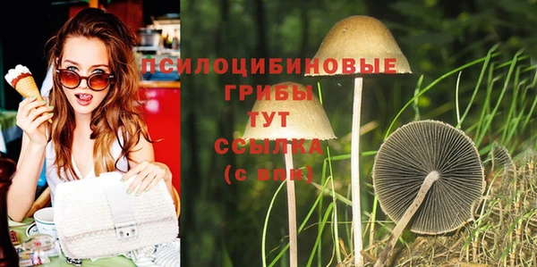 сатива Алзамай
