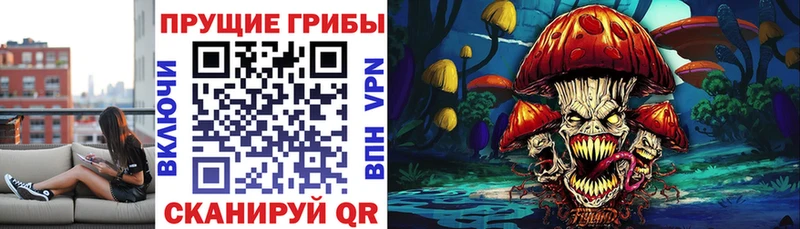 hydra зеркало  Сарапул  Псилоцибиновые грибы GOLDEN TEACHER 