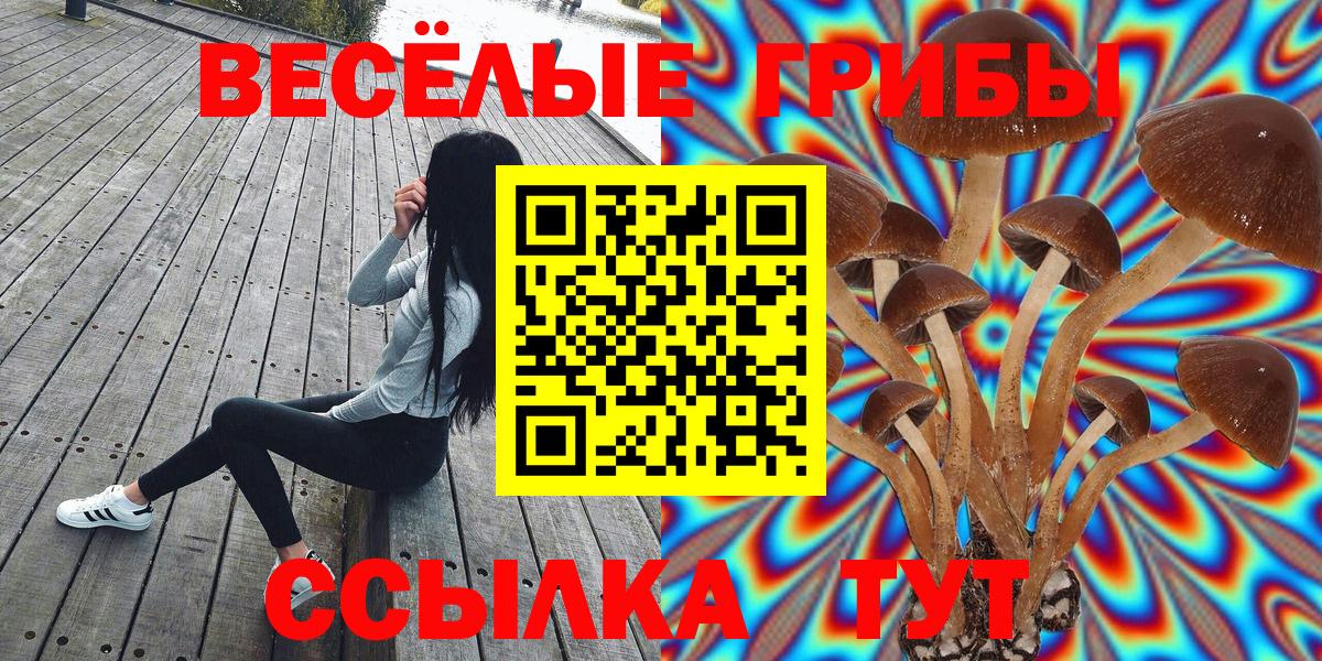 Сарапул  что такое   Псилоцибиновые грибы мухоморы  Вход с VPN  Галлюциногенные грибы мицелий 