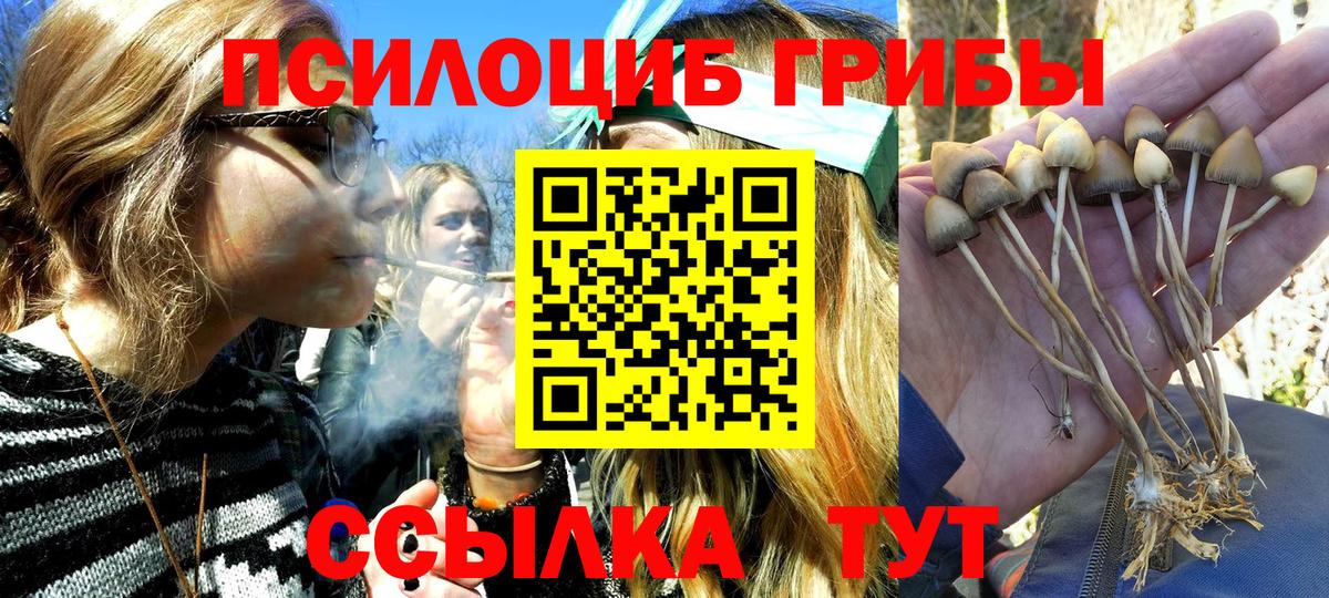 Галлюциногенные грибы мухоморы Сарапул