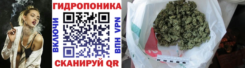 Бошки марихуана сатива Сарапул